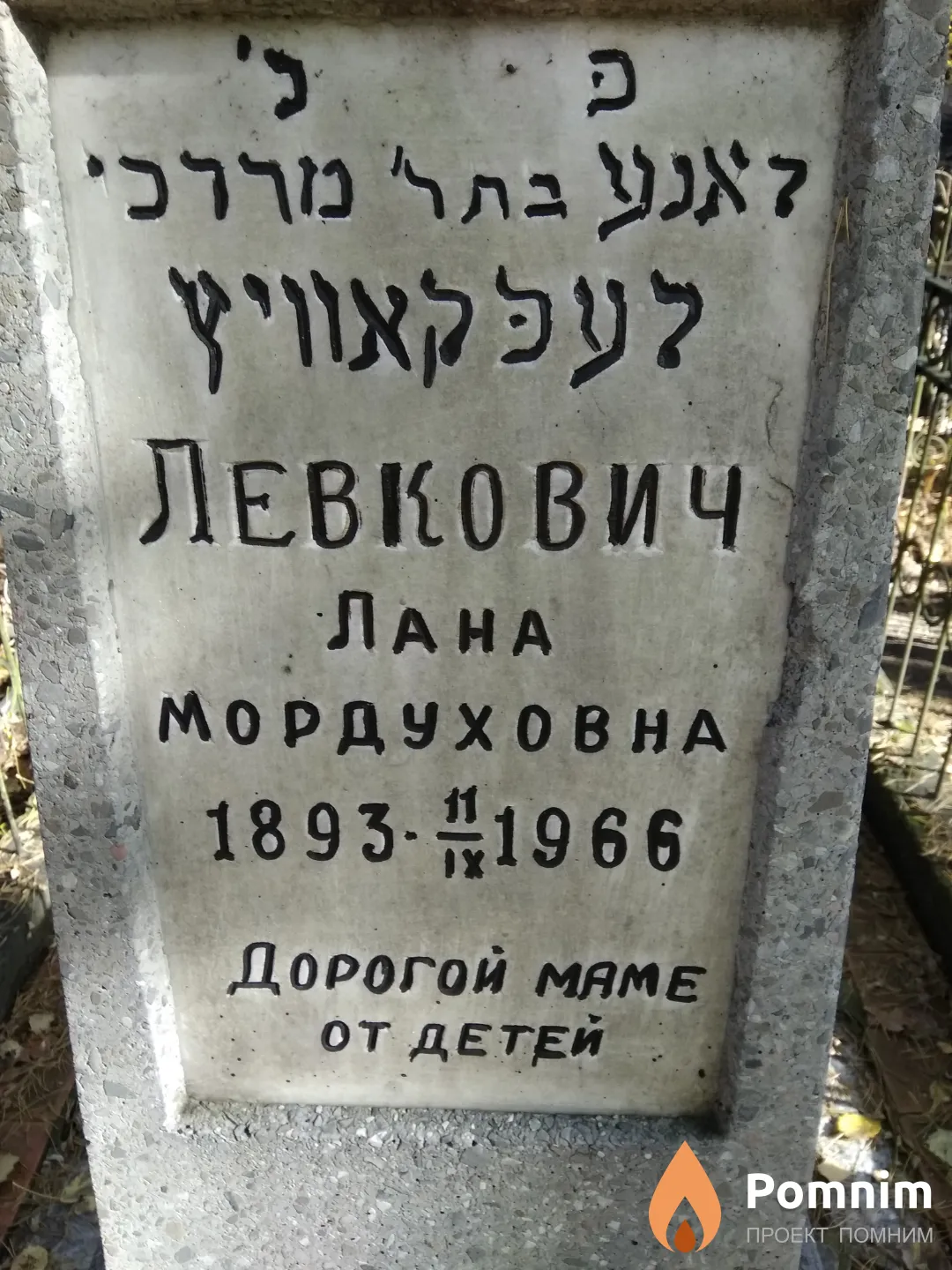 Левкович Лана Мордуховна