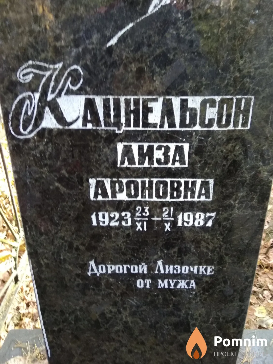 Кацнельсон Лиза Ароновна