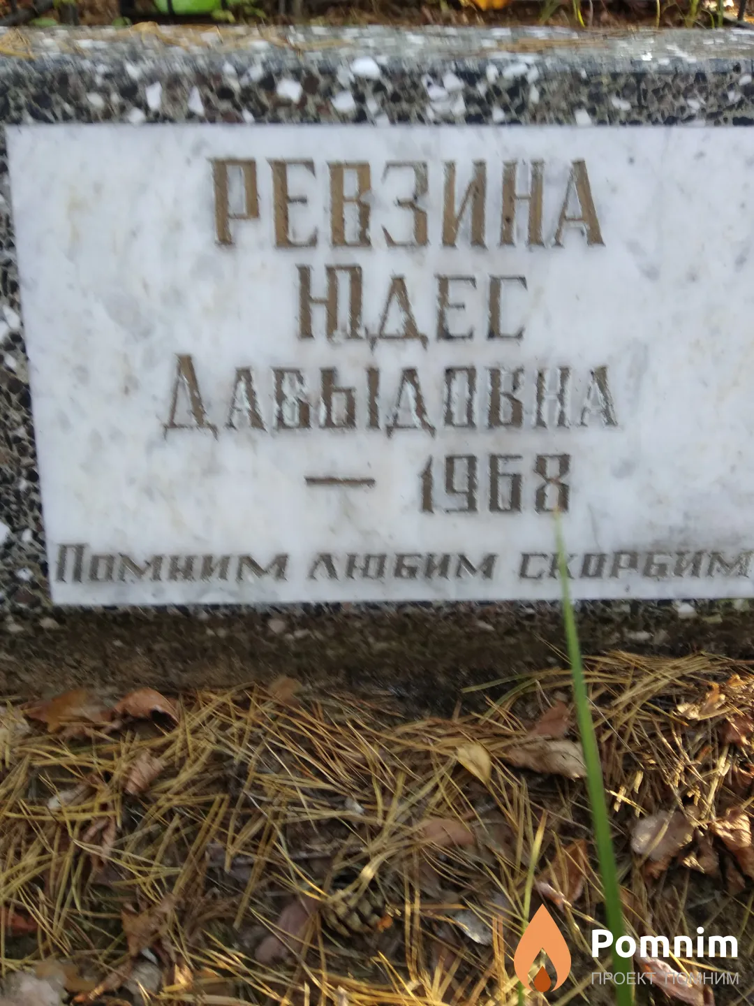 Ревзина Юдес Давыдовна