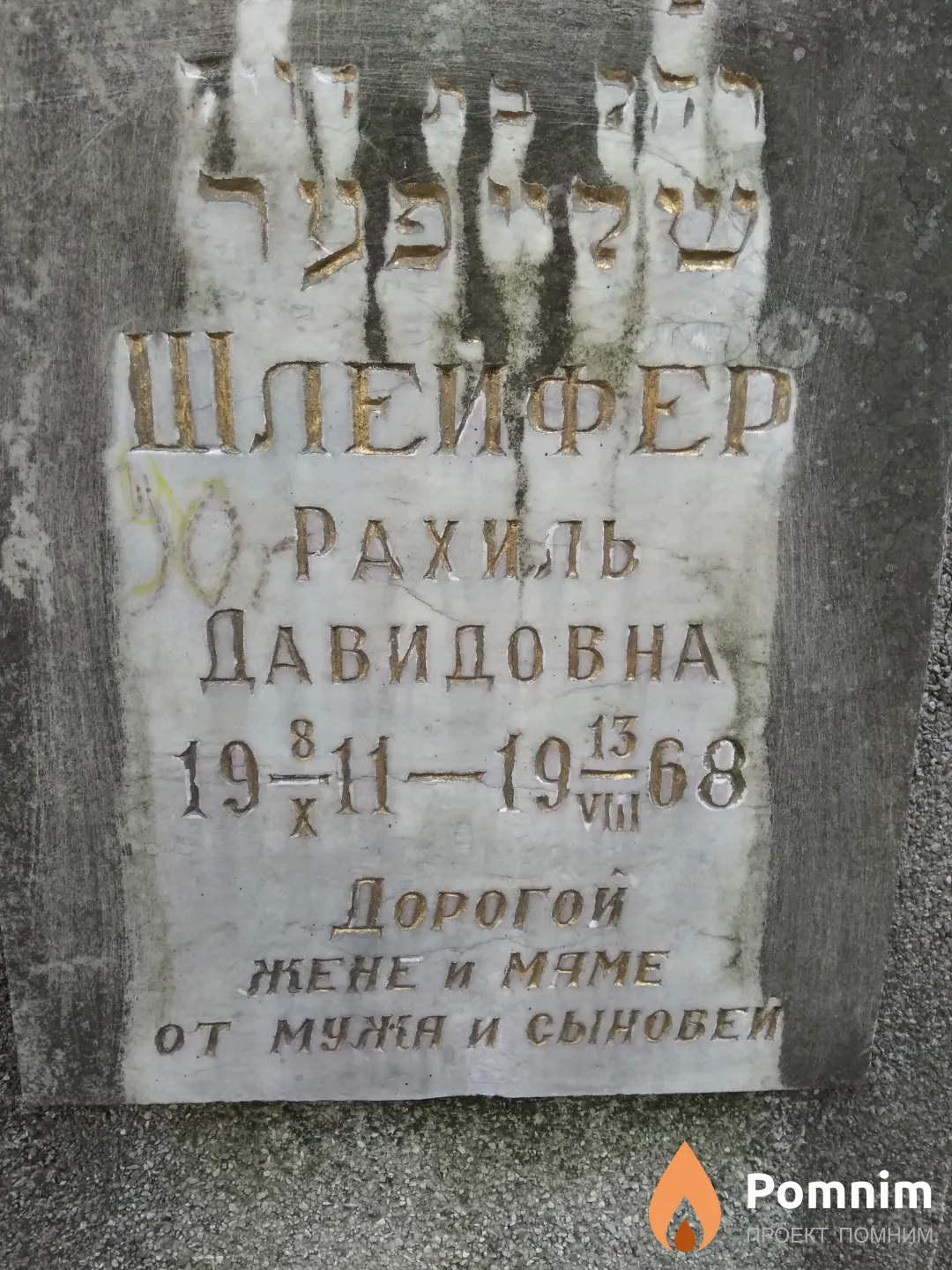 Шлейфер Рахиль Давидовна