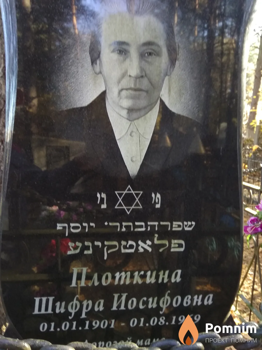 Плоткина Шифра Иосифовна