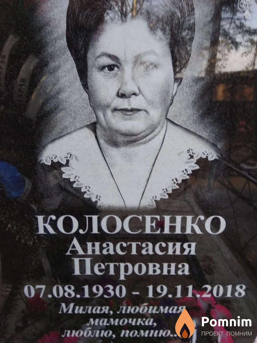 Колосенко Анастасия Петровна