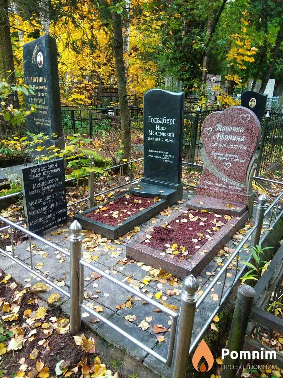 Менделевич Юлия