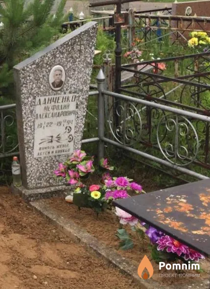 Данченко М А
