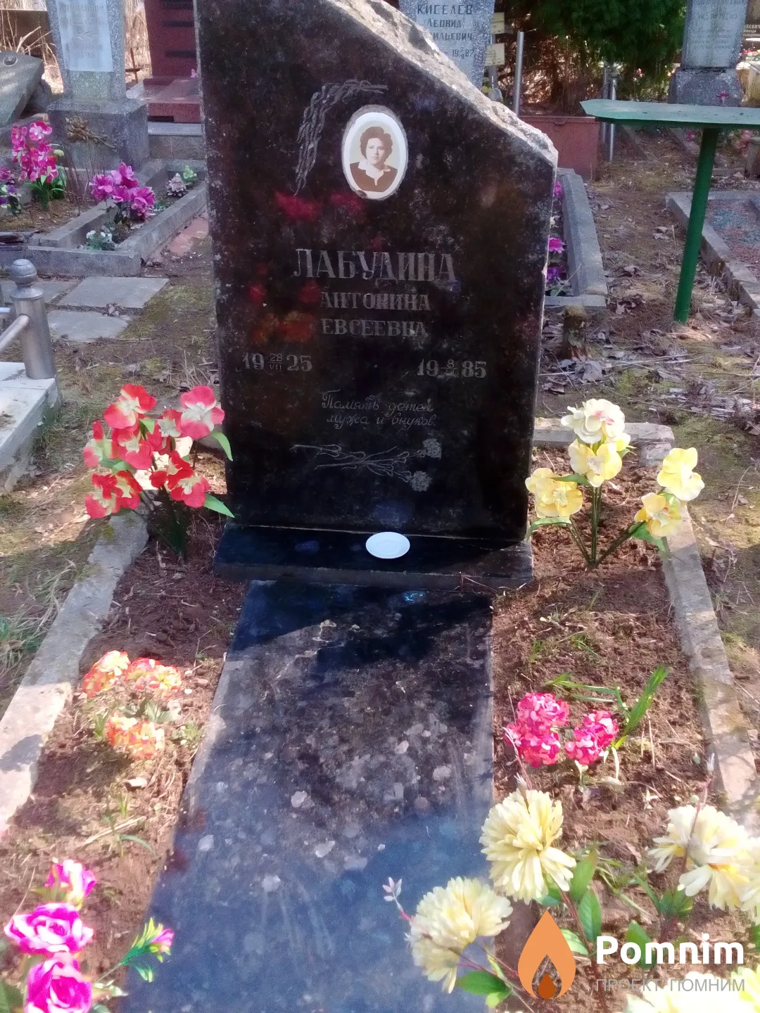 Лабудина Антонина Евсеевна