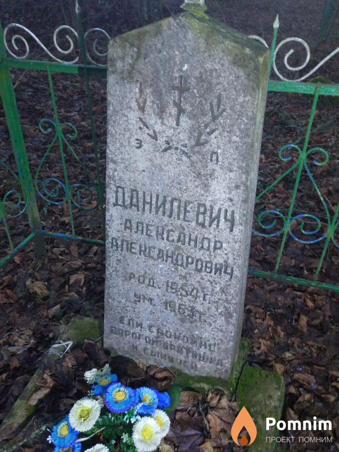 Данилевич Александр Александрович
