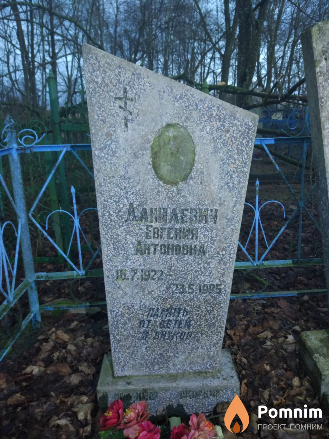 Данилевич Евгения Антоновна