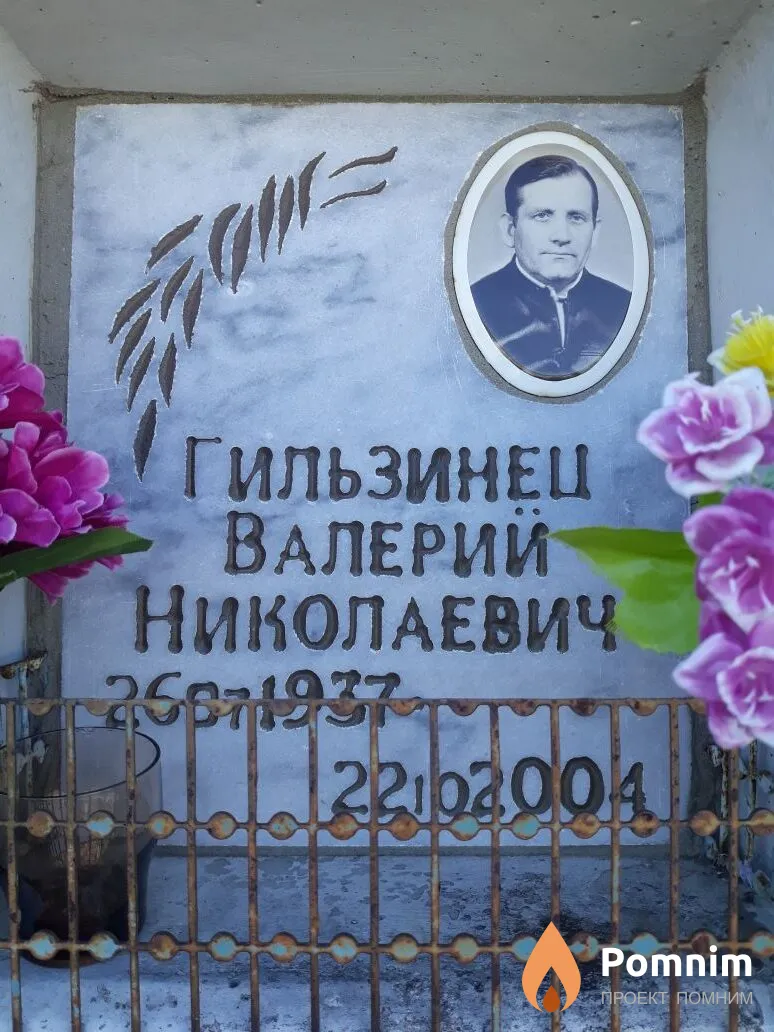 Гильзинец Валерий Николаевич