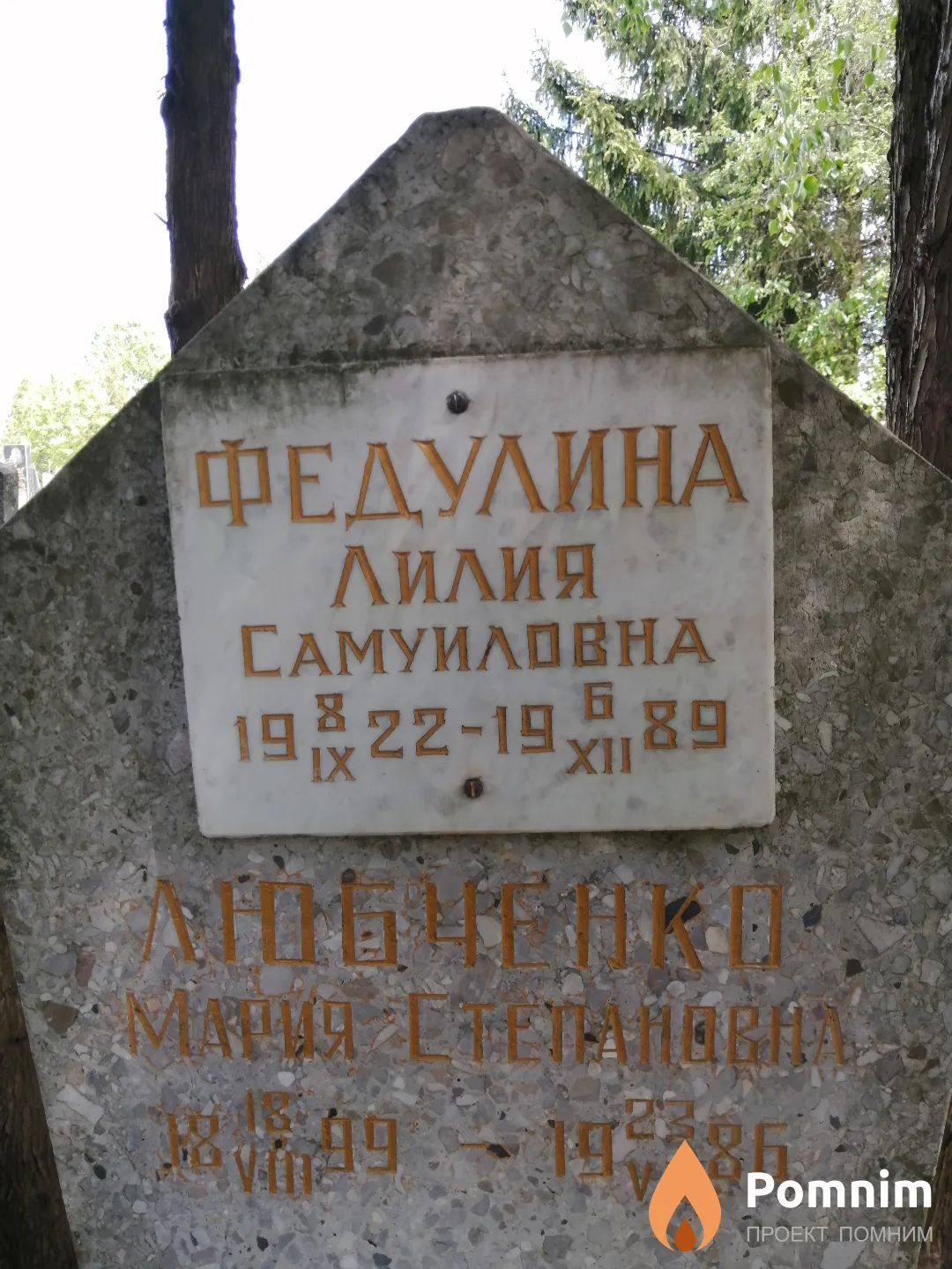 Федулина Лилия Самуиловна