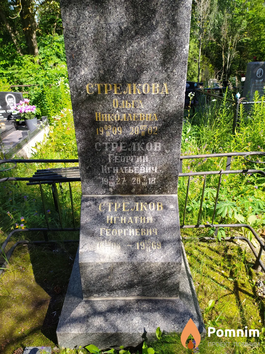 Стрелкова Ольга Николаевна