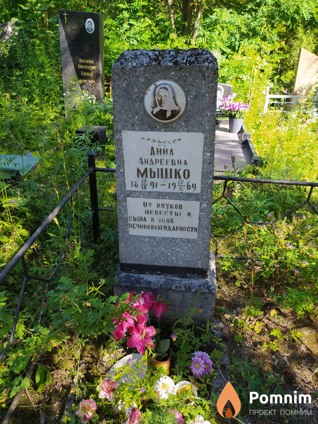 Мышко Анна Андреевна