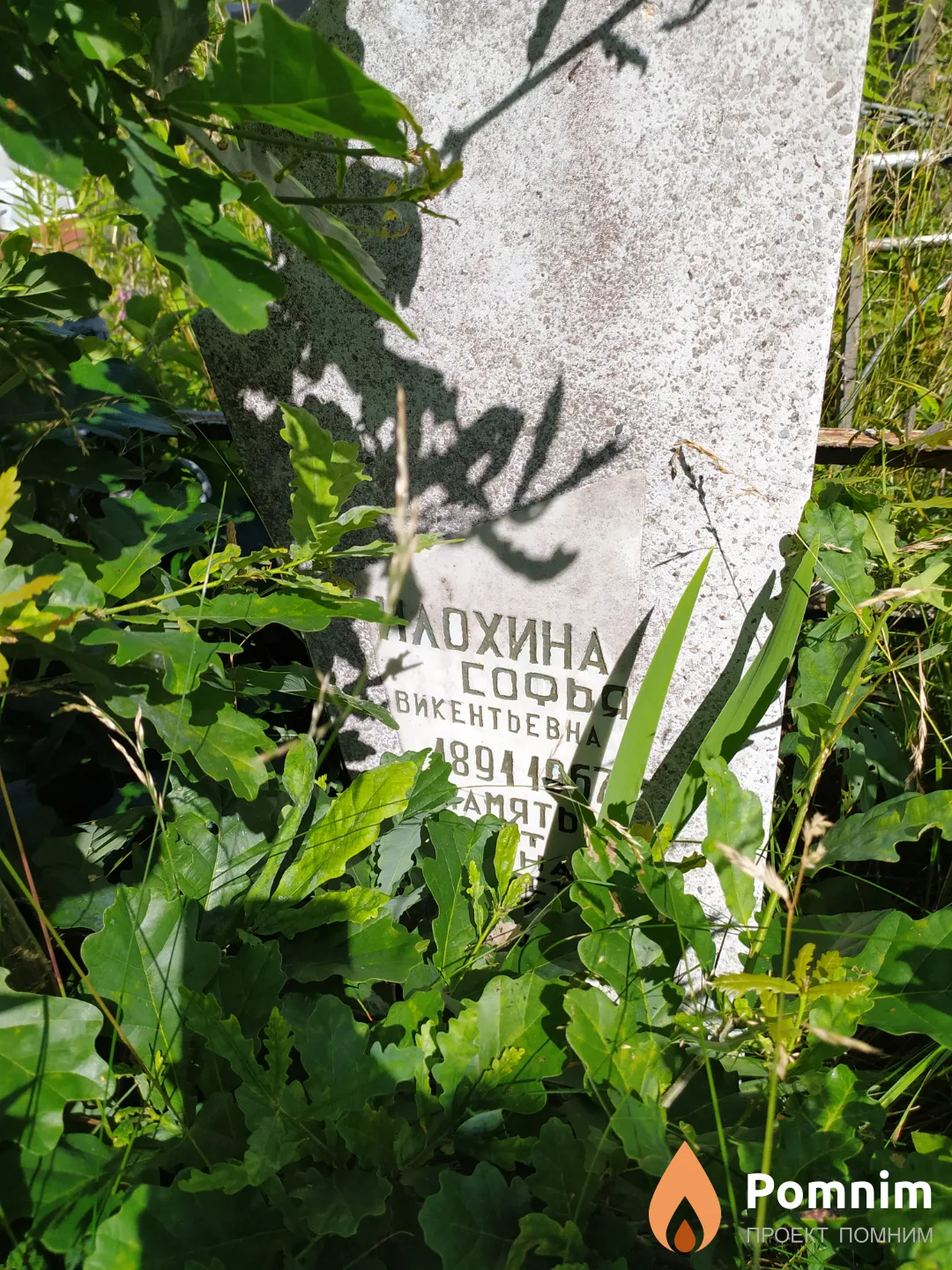 Илохина Софья Викентьевна
