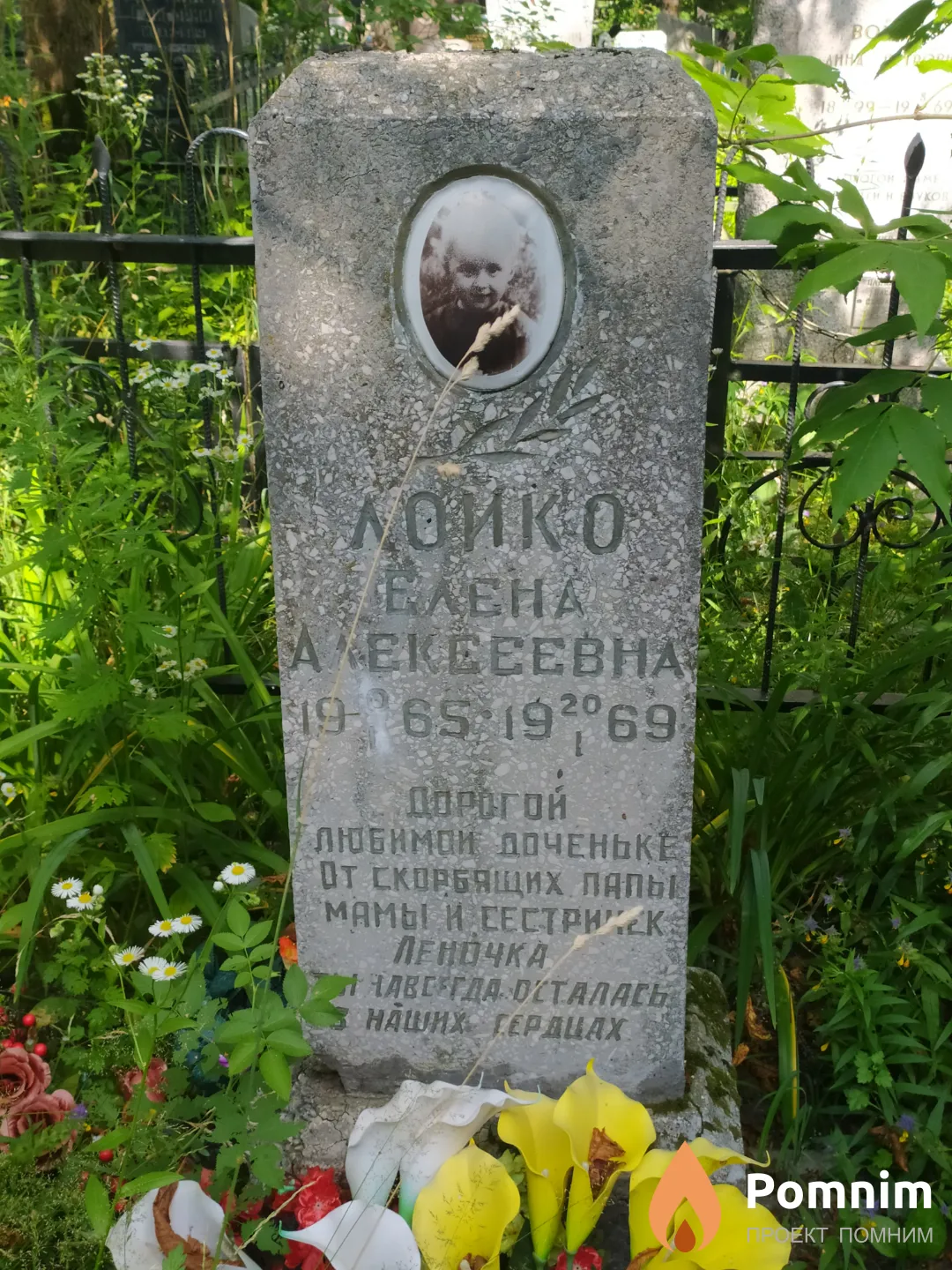 Лойко Елена Алексеевна