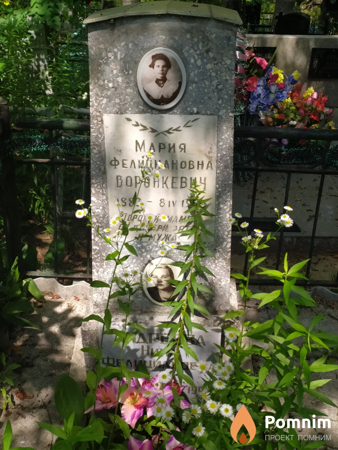 Андреева Нина Фелициановна