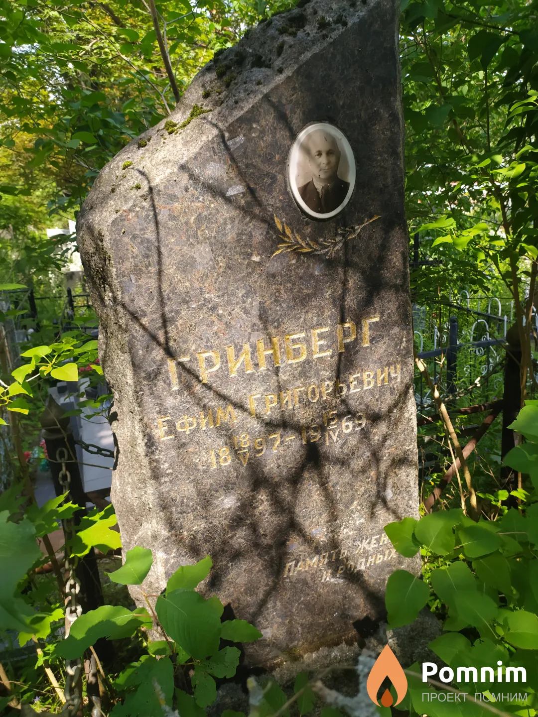 Гринберг Ефим Григорьевич