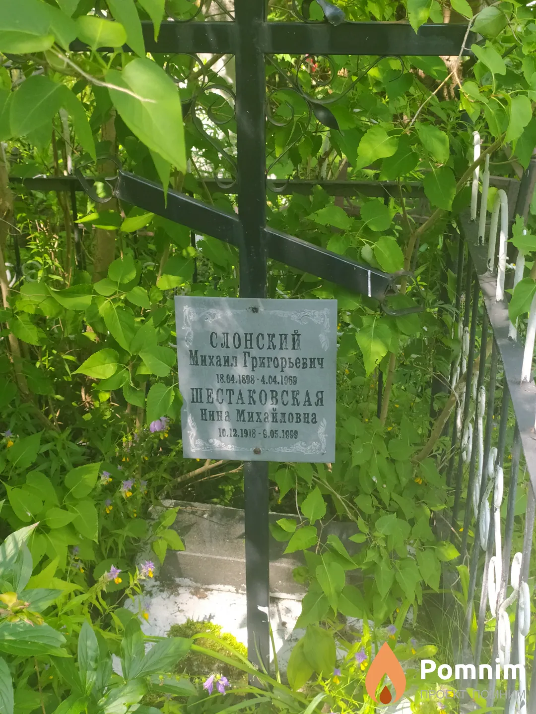 Слонский Михаил Григорьевич