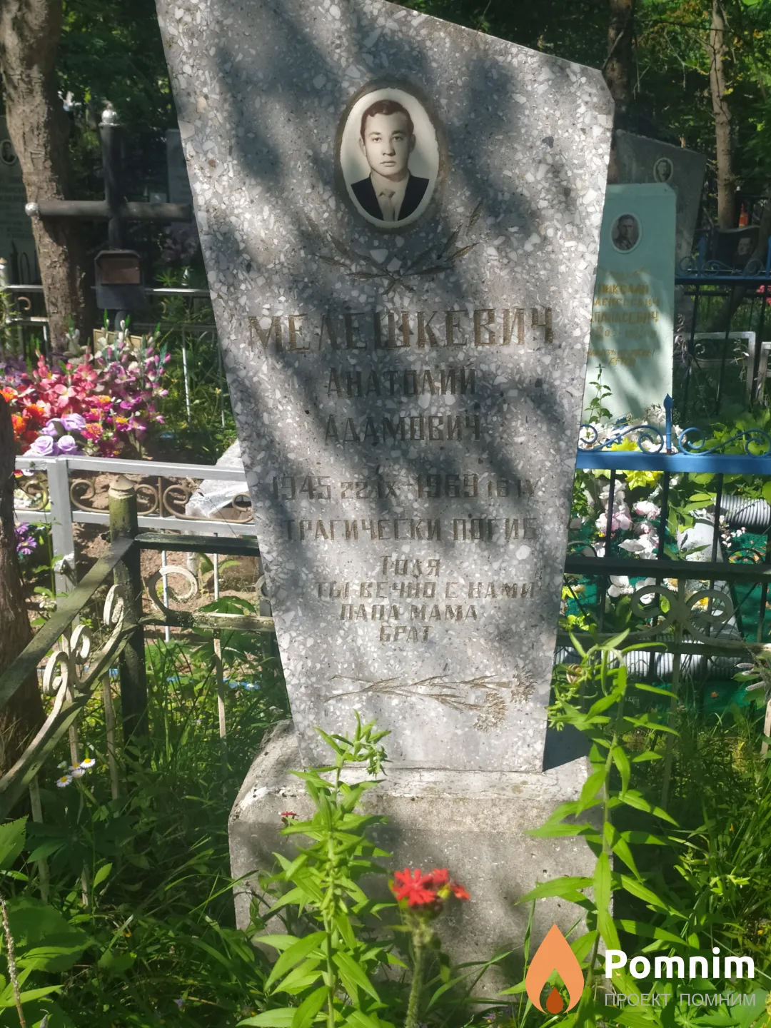 Мелешкевич Анатолий Адамович
