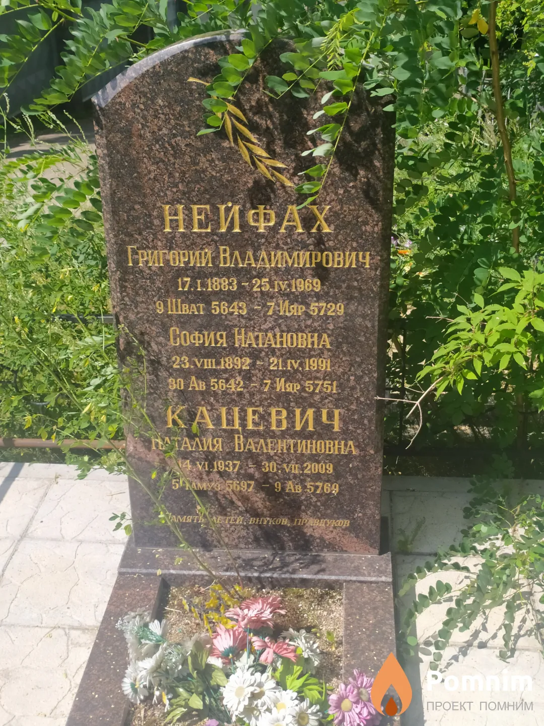 Нейфах Григорий Владимирович