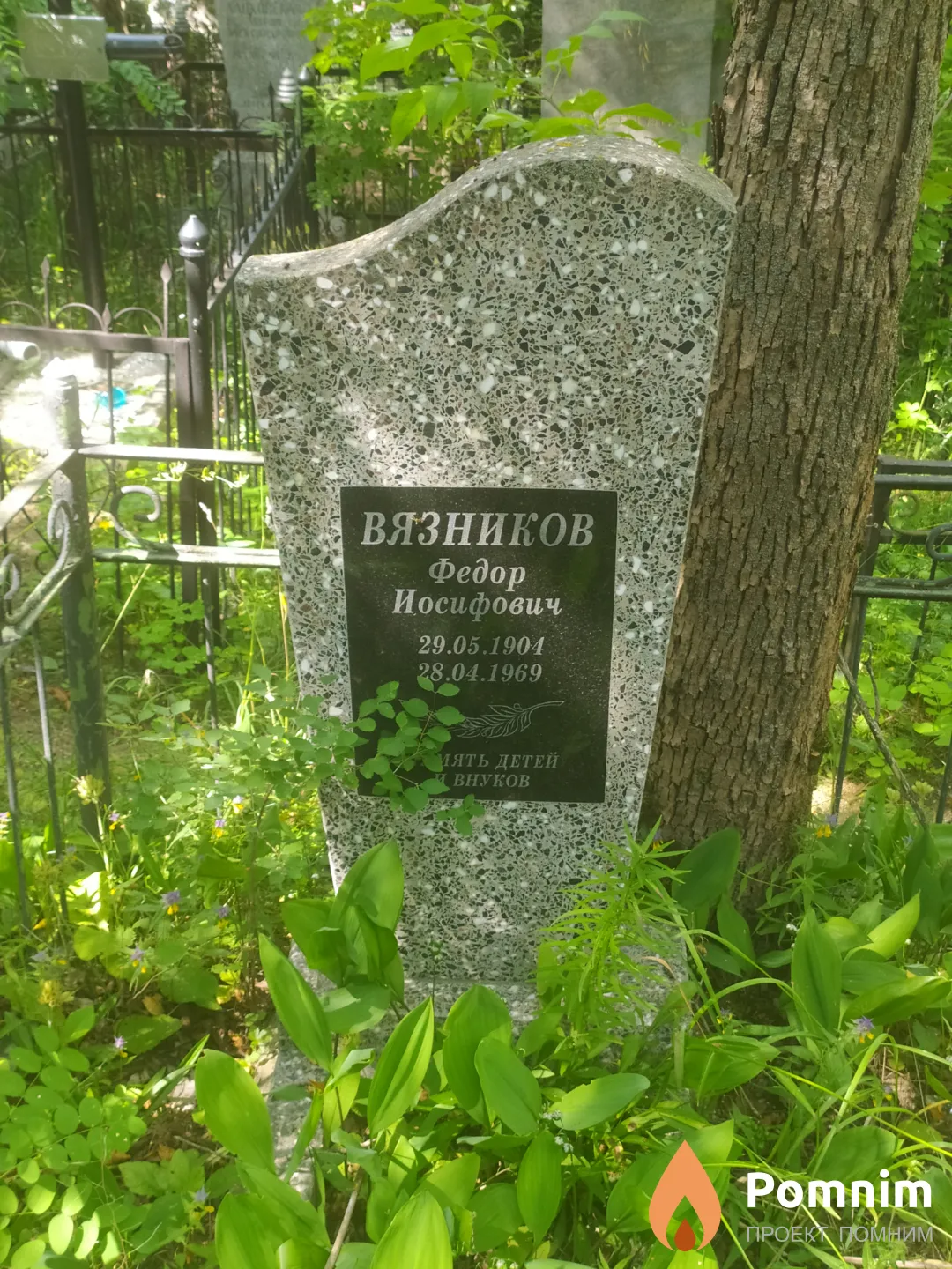 Вязников Федор Иосифович