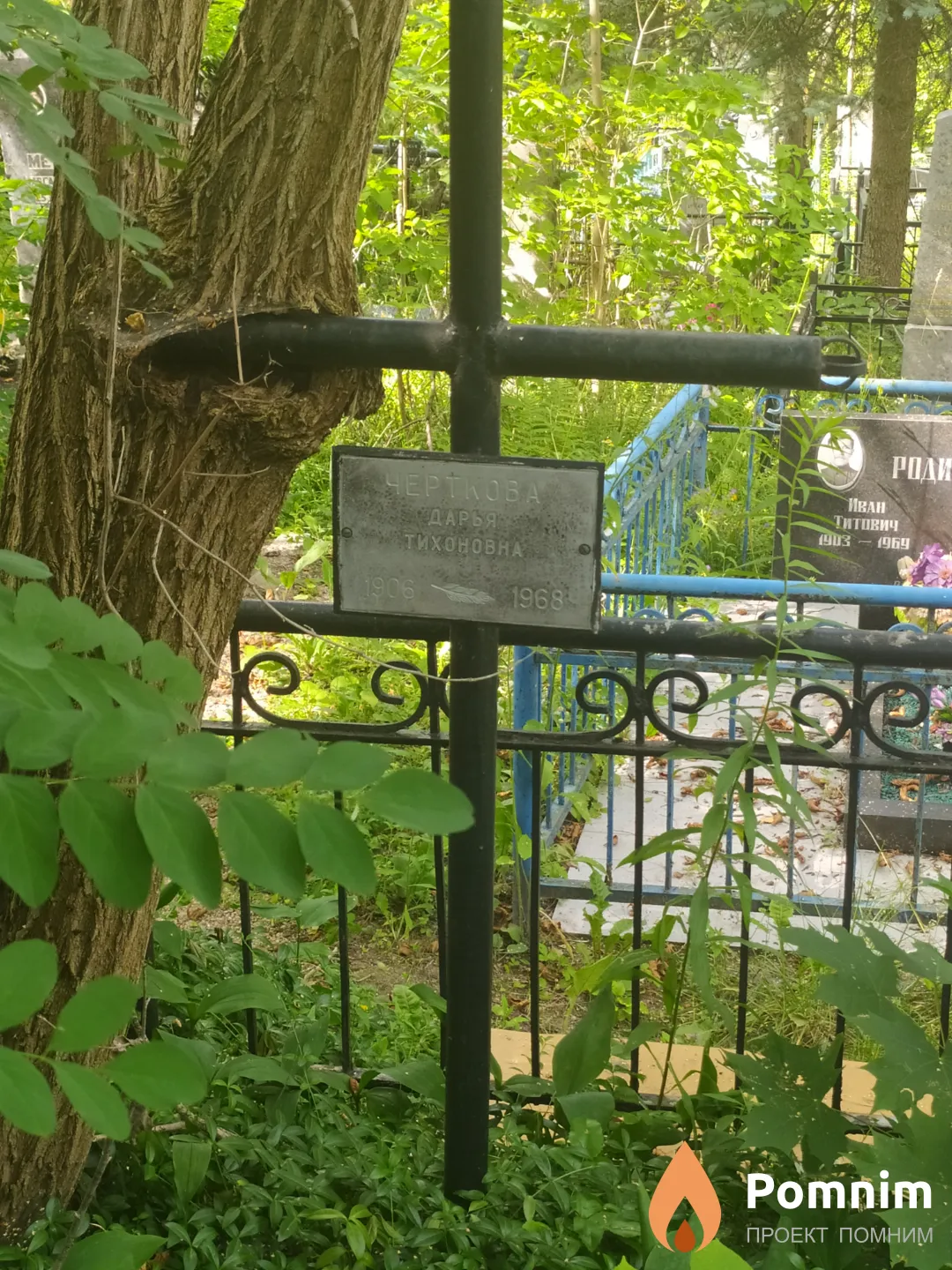 Черткова Дарья Тихоновна