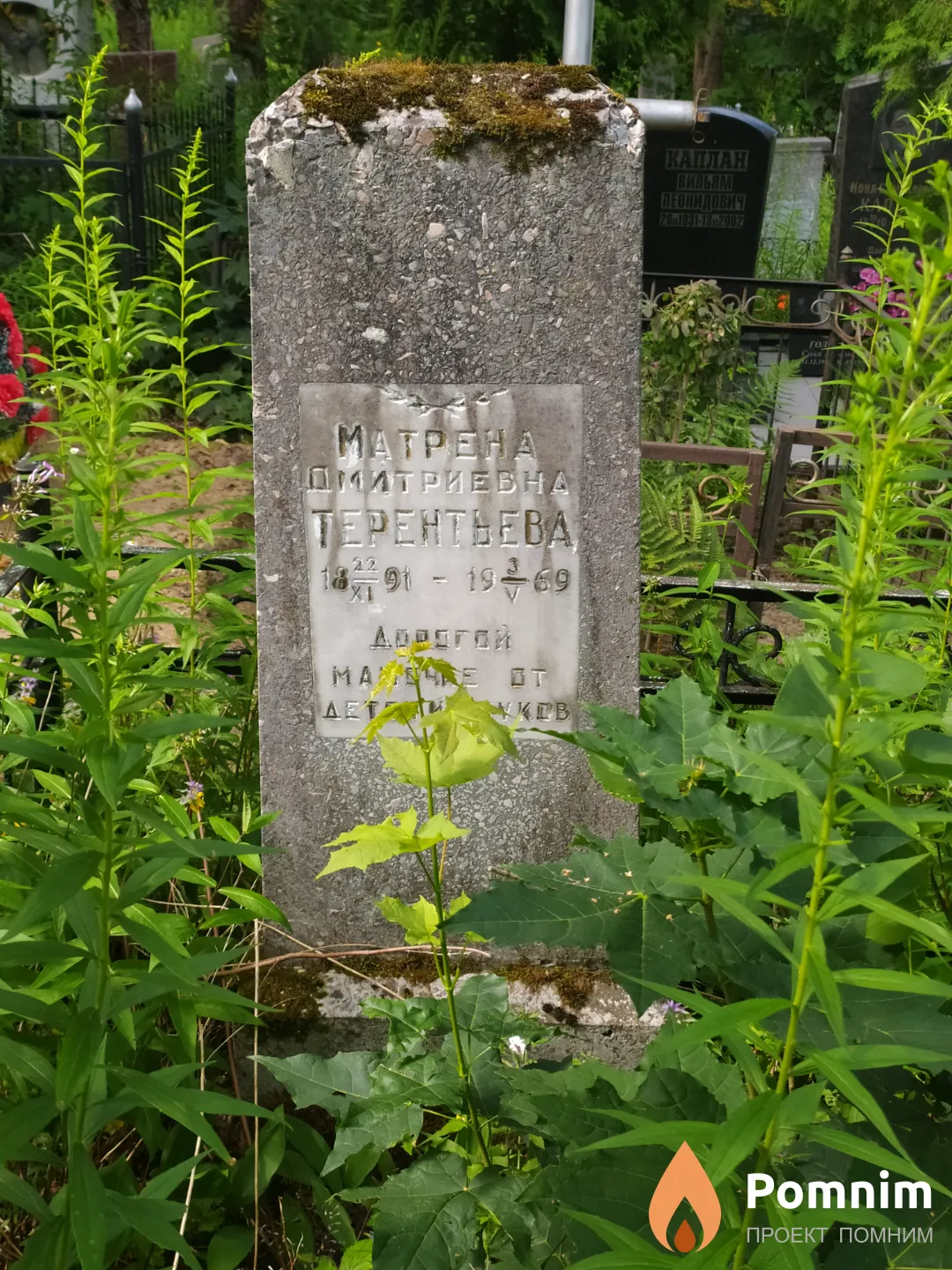 Терентьева Матрена Дмитриевна