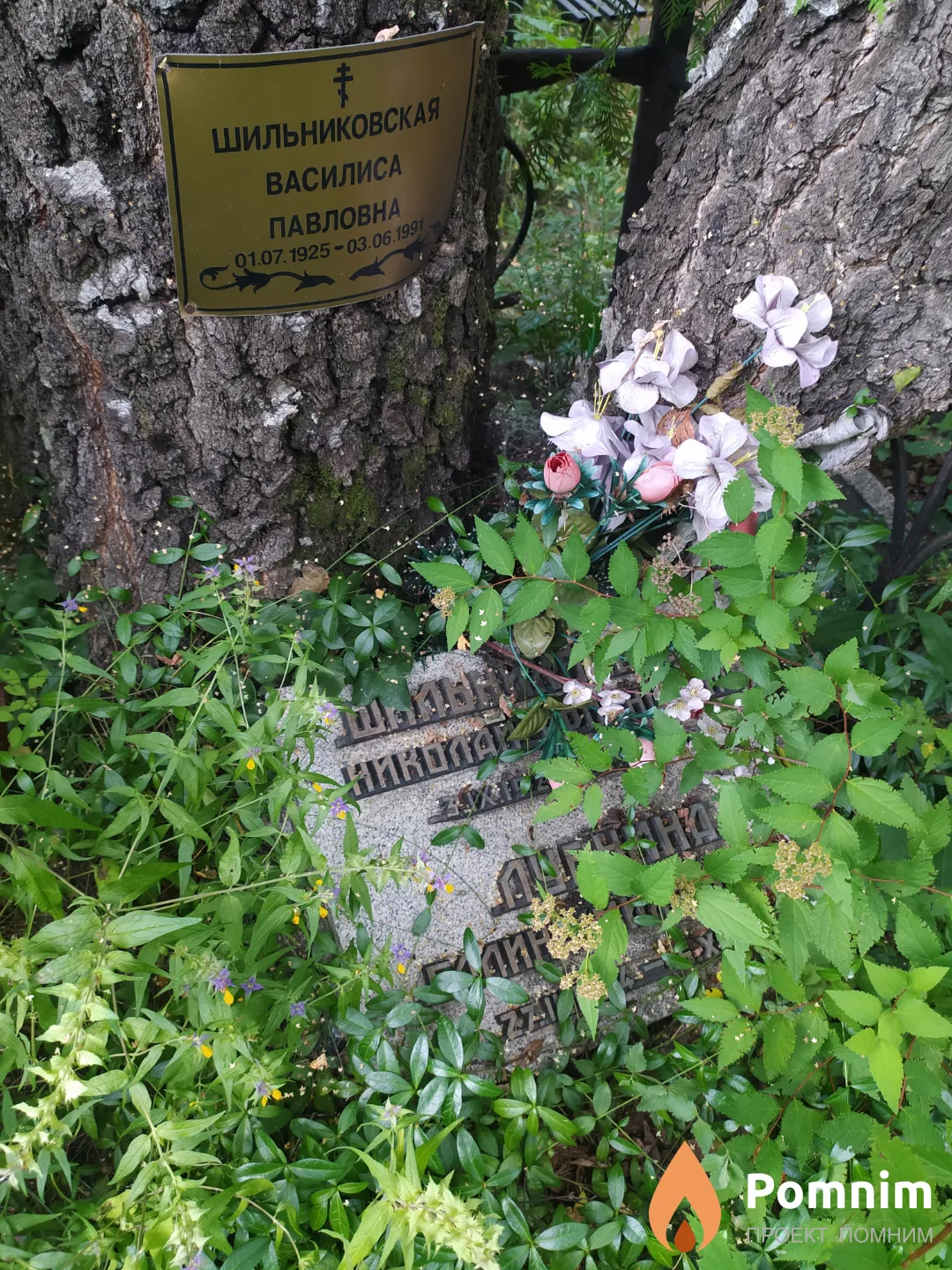Лубнина Галина Михайловна