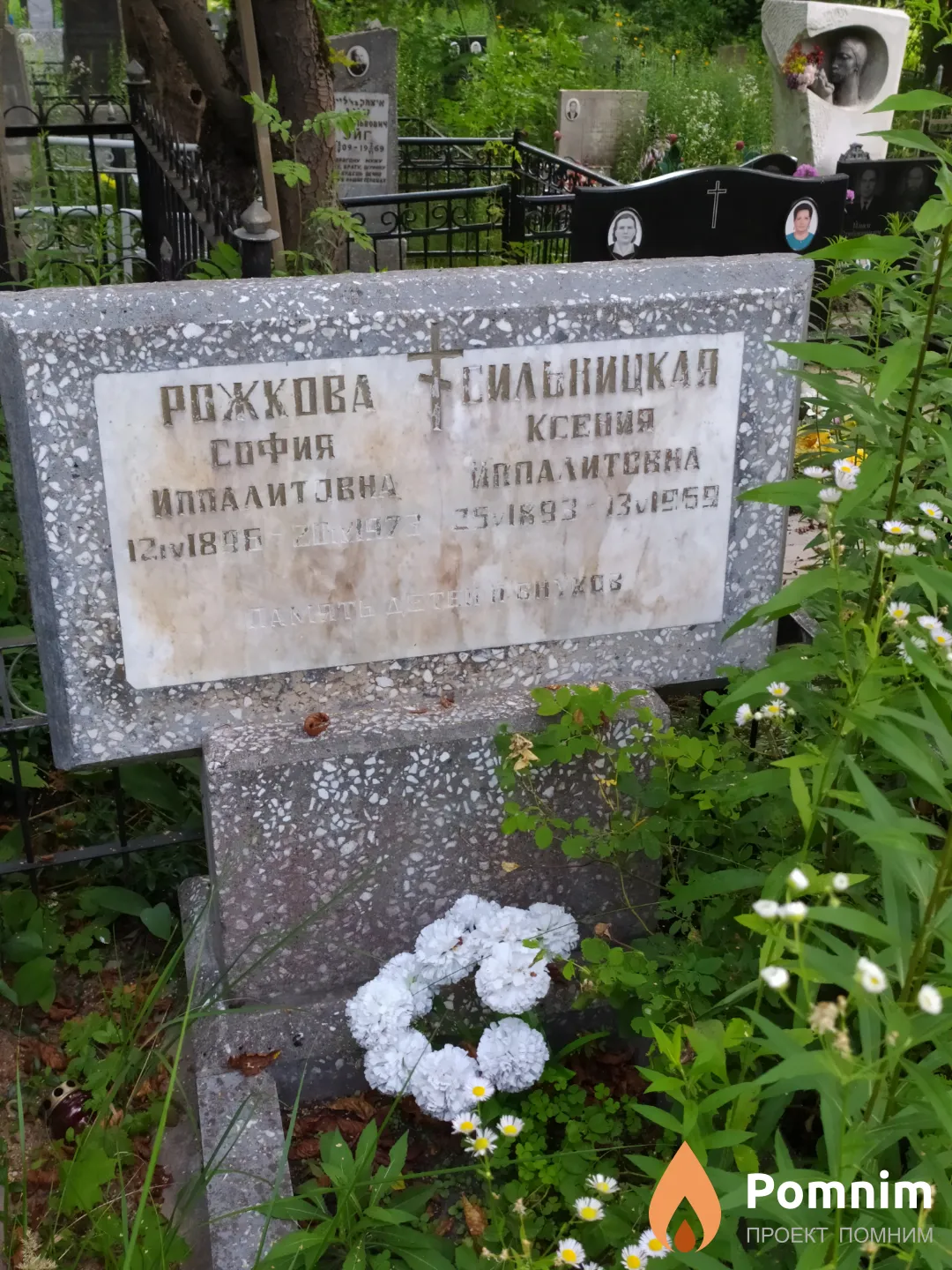 Сильницкая Ксения Иппалитовна