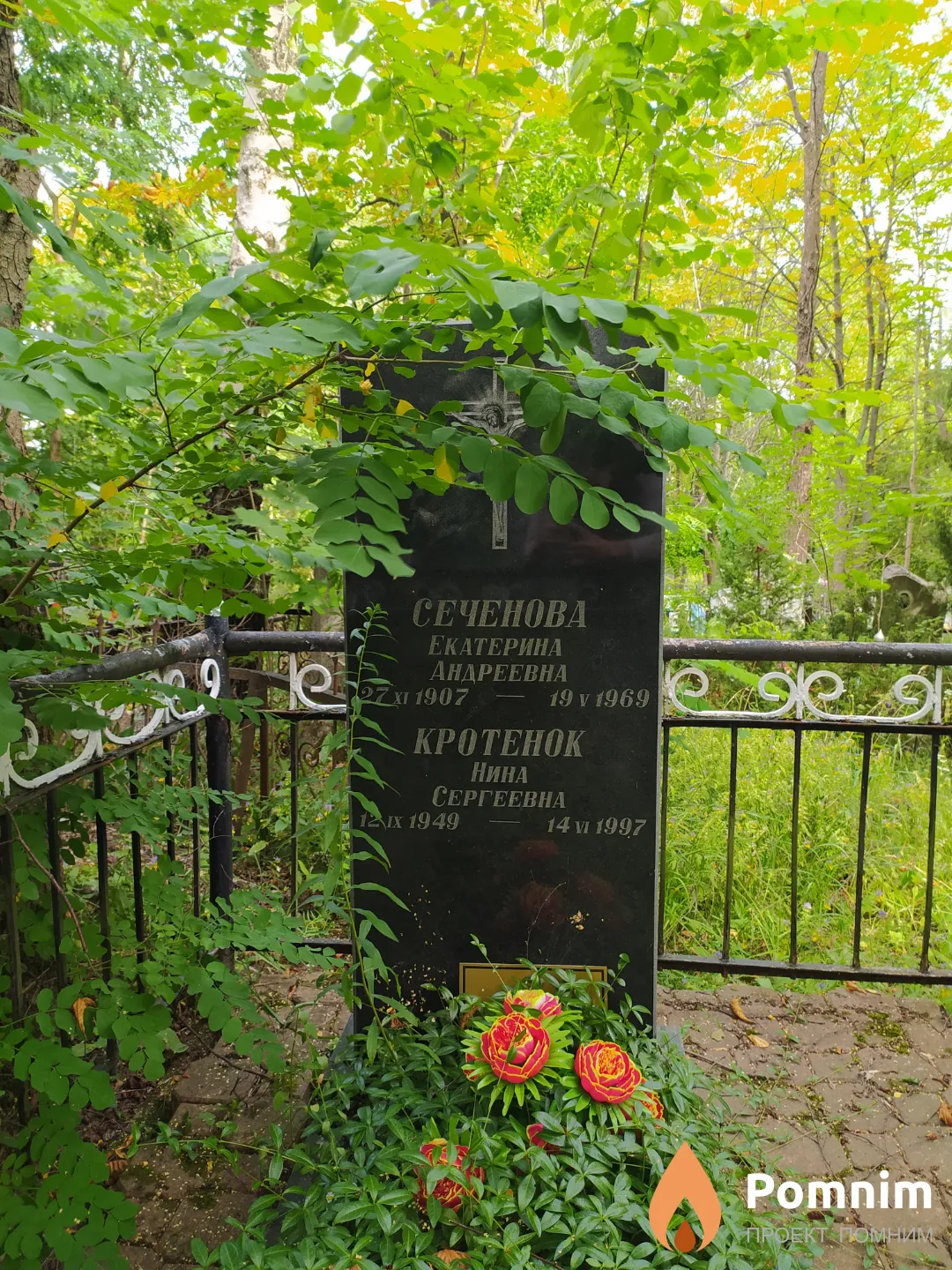Сеченова Екатерина Андреевна