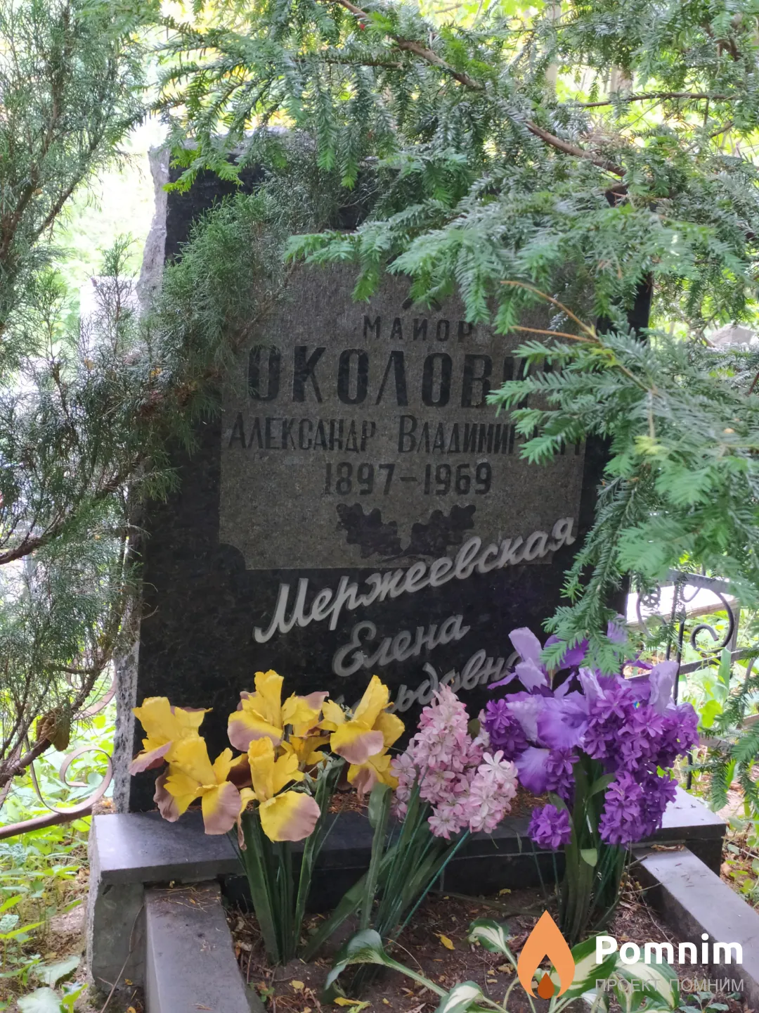Околович Александр Владимирович