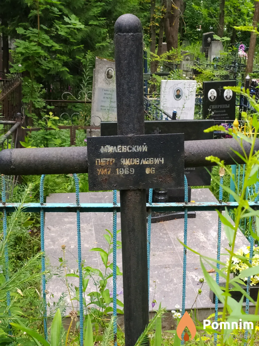 Милевский Петр Яковлевич