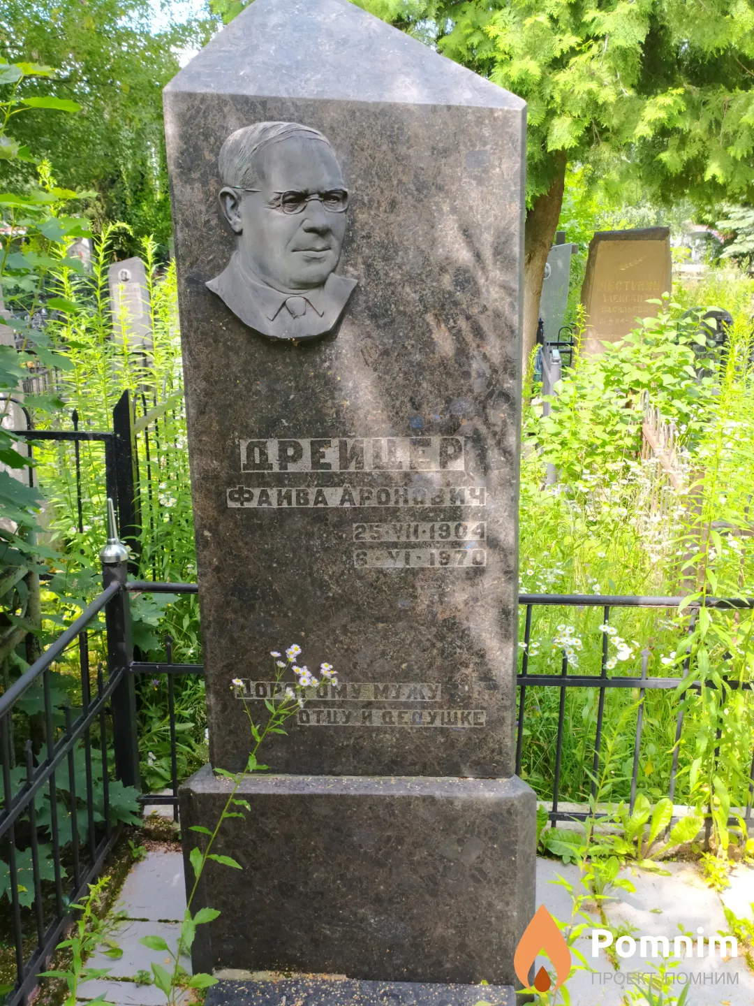 Дрейцер Фаива Аронович