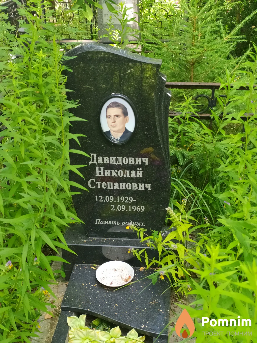 Давидович Николай Степанович