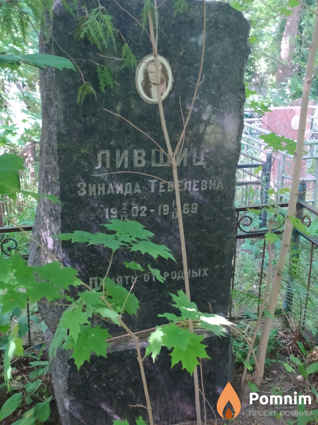 Лившиц Зинаида Тевелевна