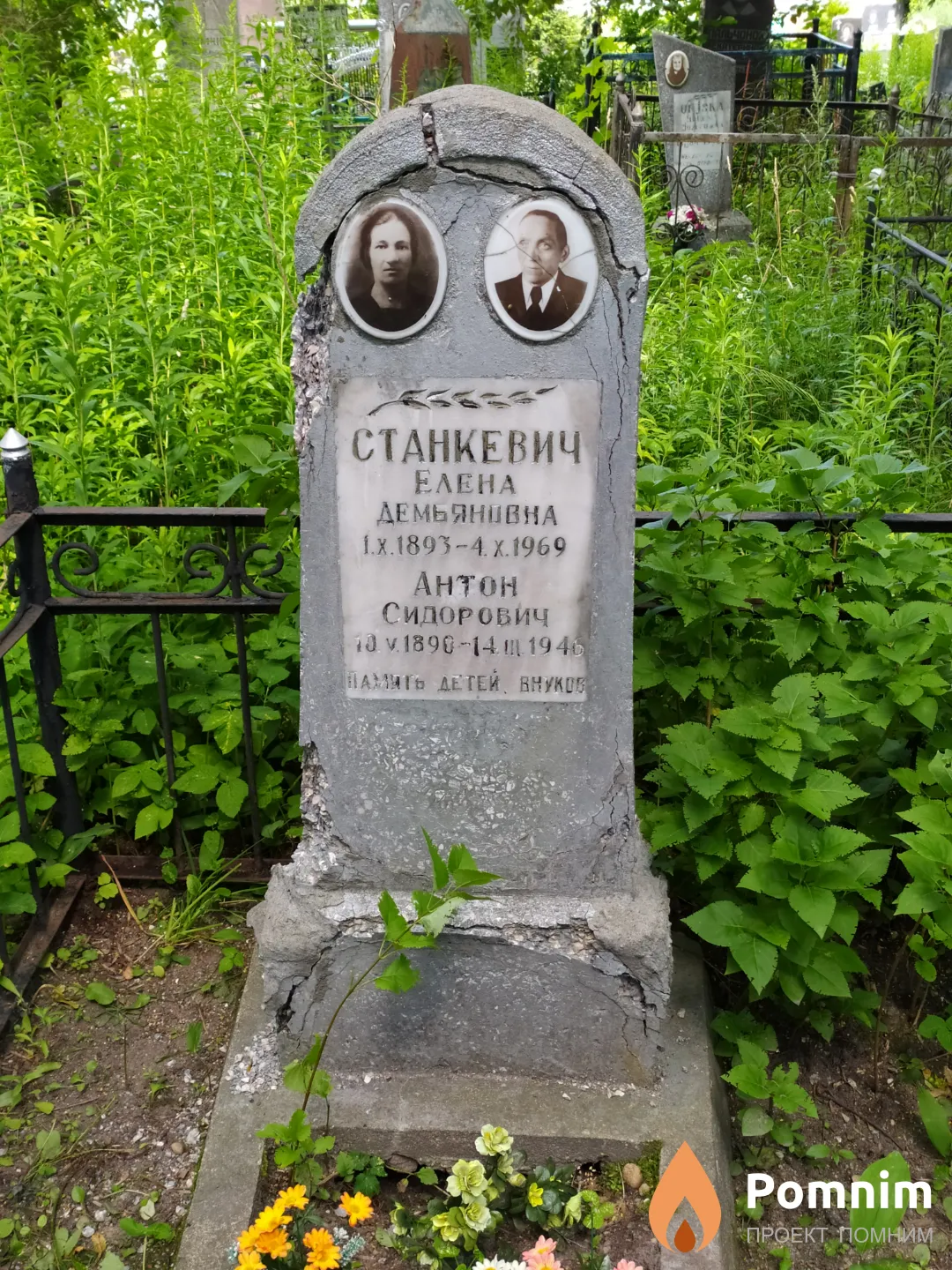 Станкевич Елена Демьяновна