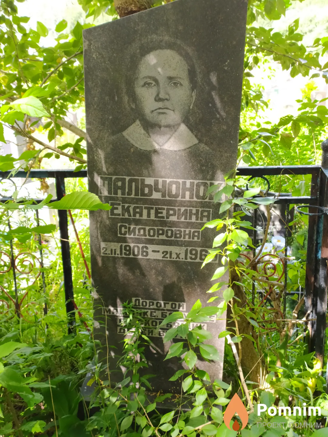 Пальчонок Екатерина Сидоровна