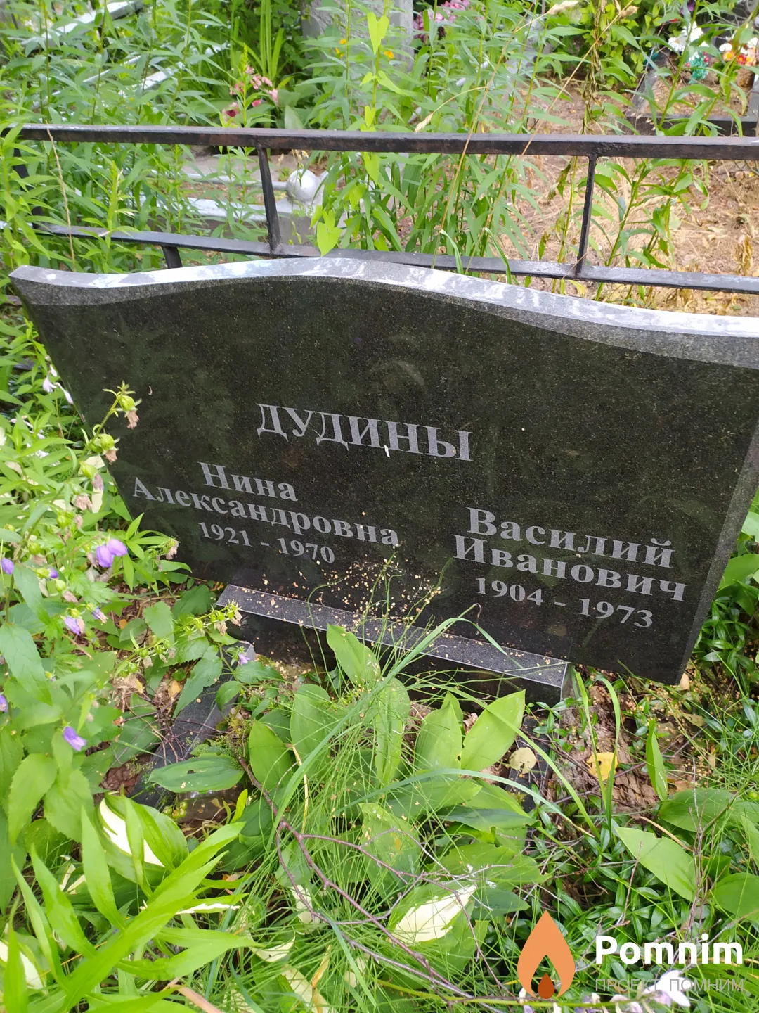 Дудина Нина Александровна