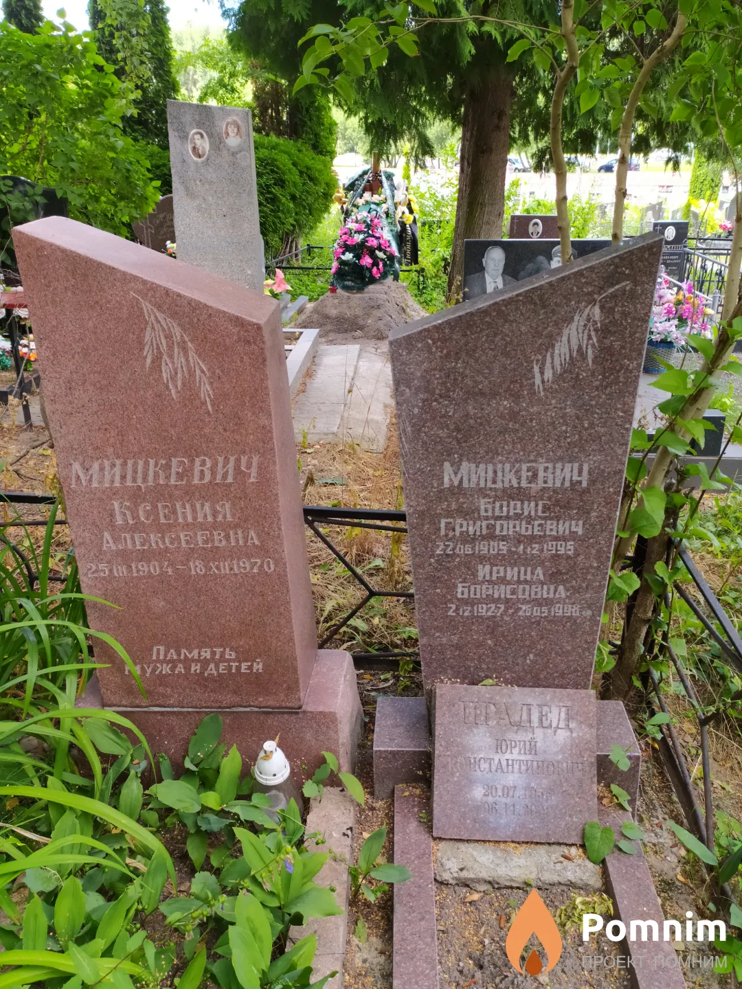 Мицкевич Ксения Алексеевна