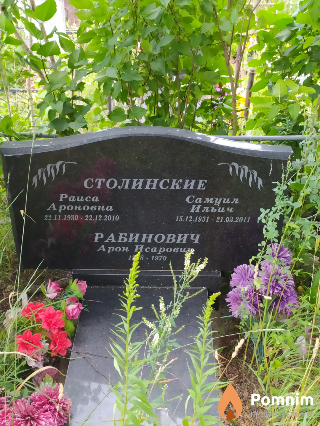 Столинская Раиса Ароновна