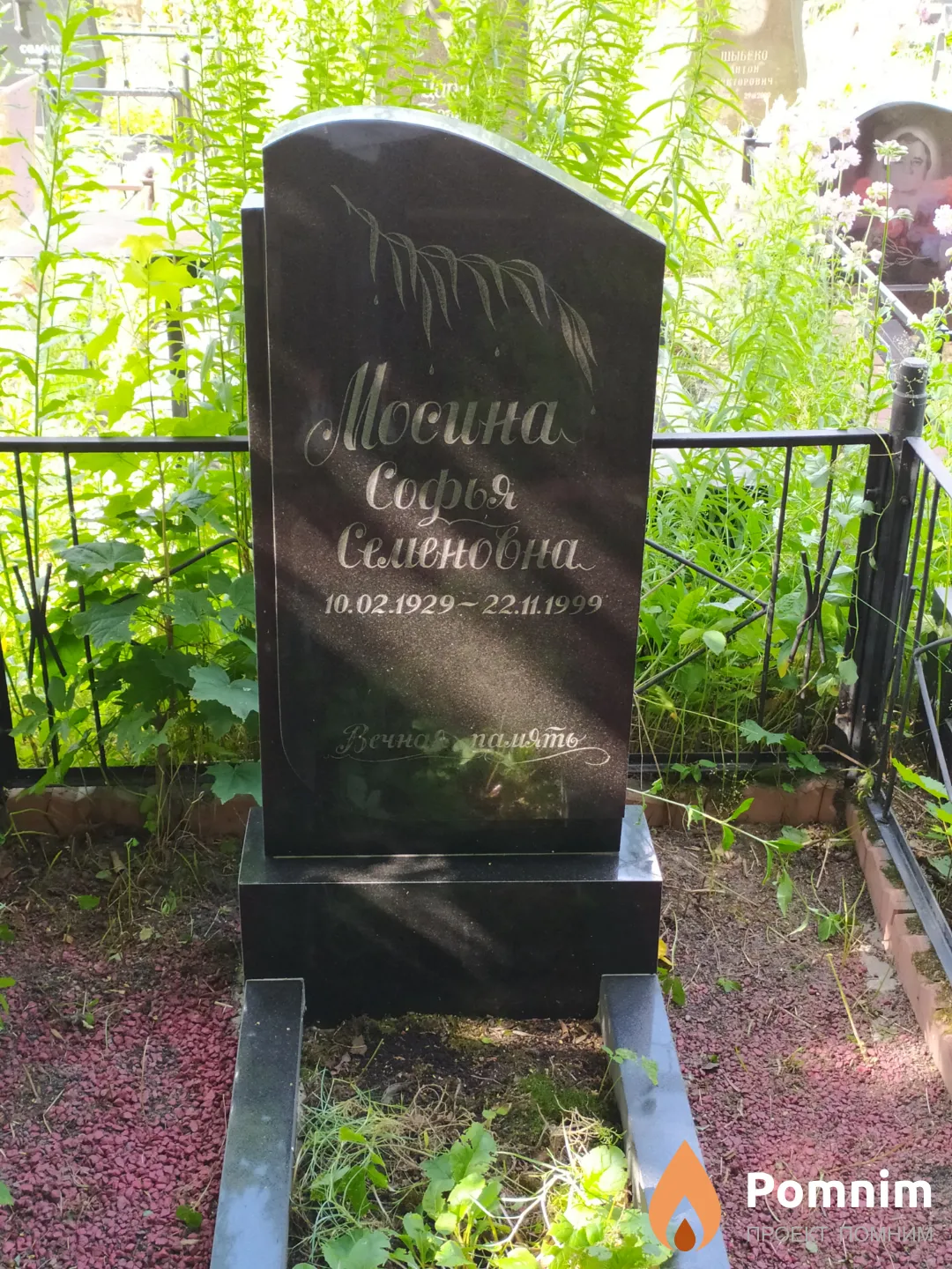 Мосина Софья Семеновна