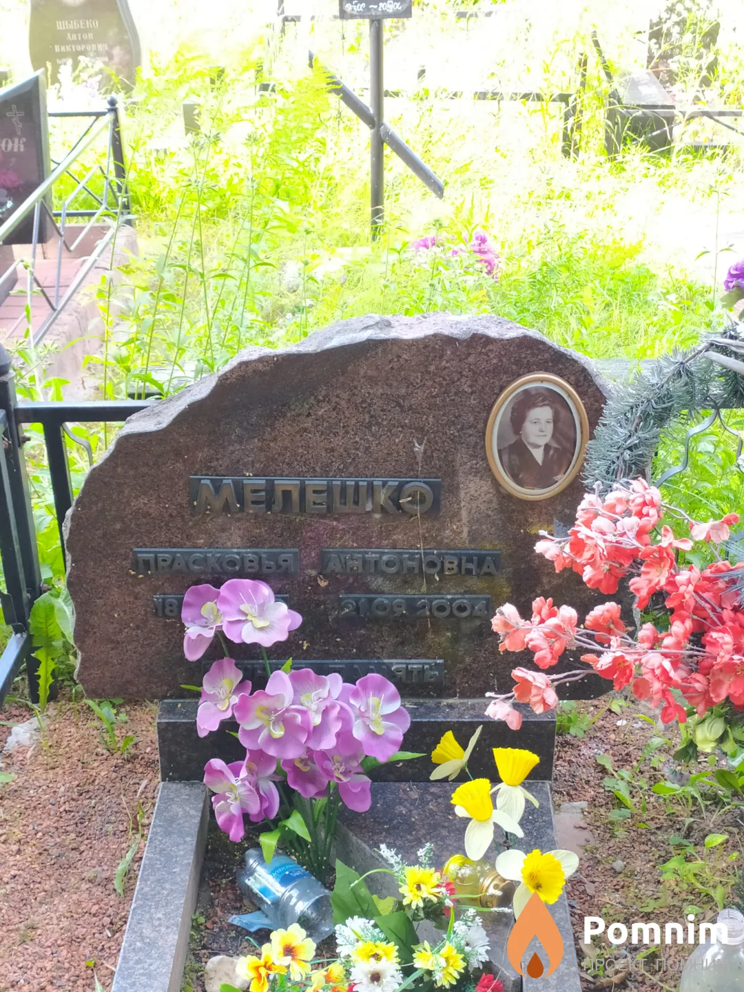 Мелешко Зинаида Александровна