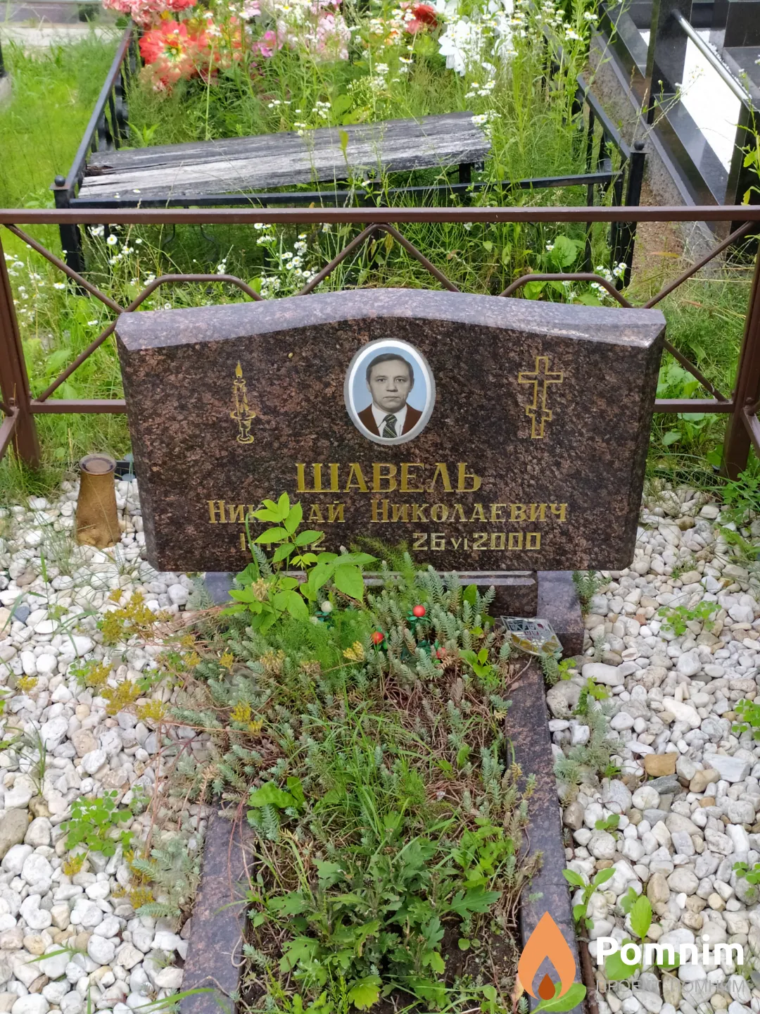 Шавель Николай Николаевич