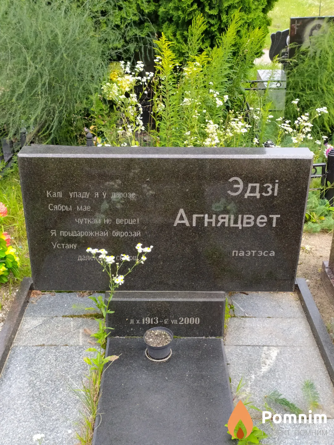 Агняцвет Эдзі