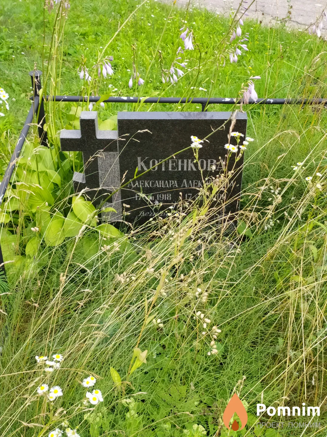 Котенкова Александра Алексеевна