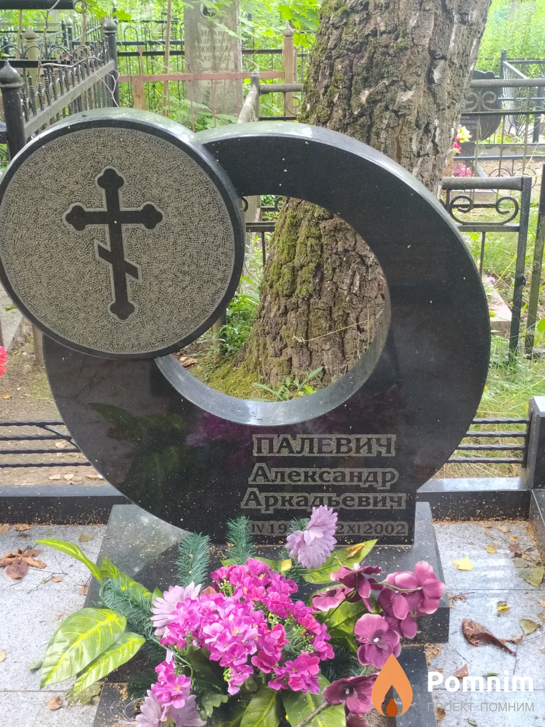 Палевич Александр Аркадьевич