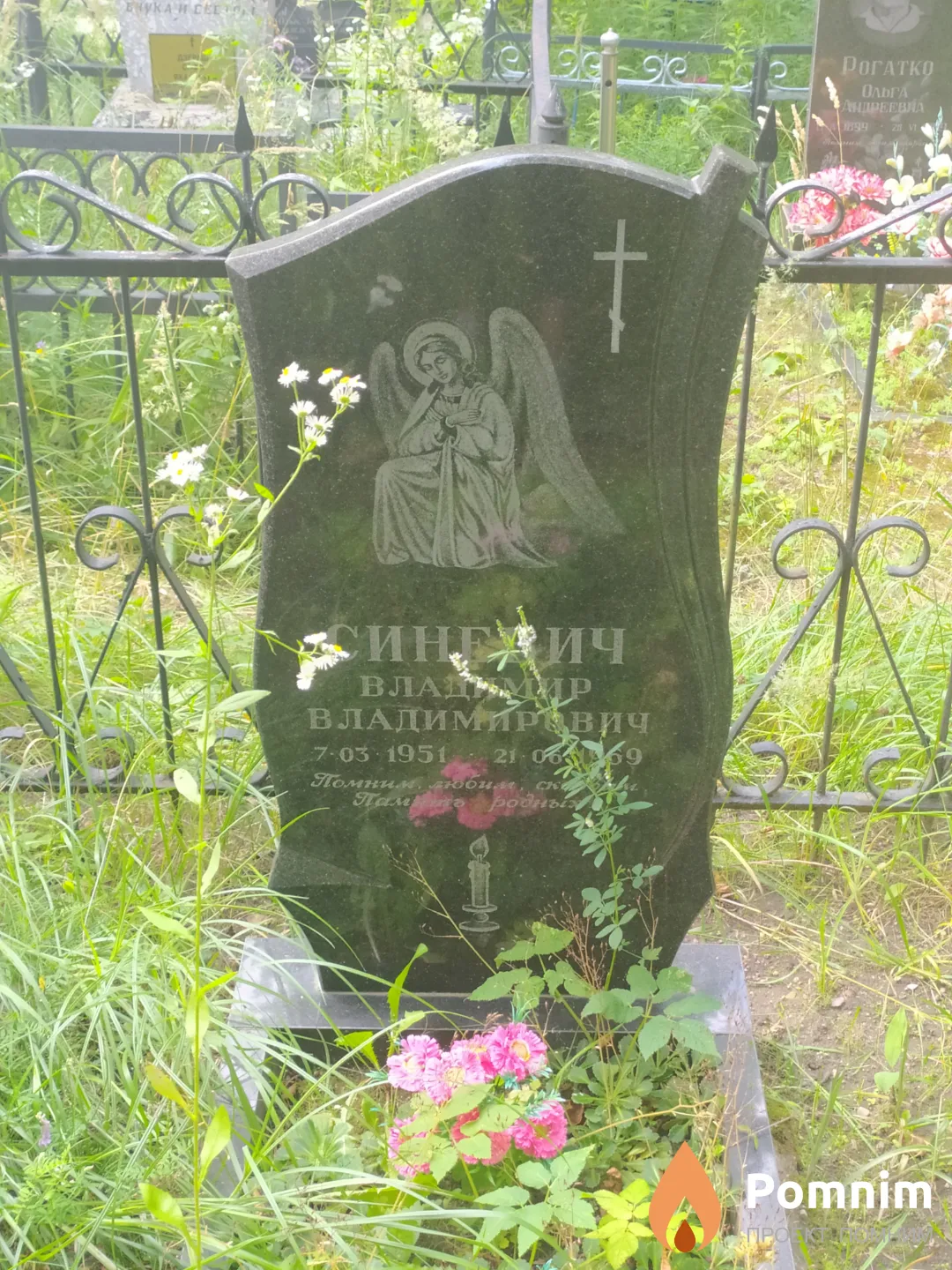Синевич Владимир Владимирович