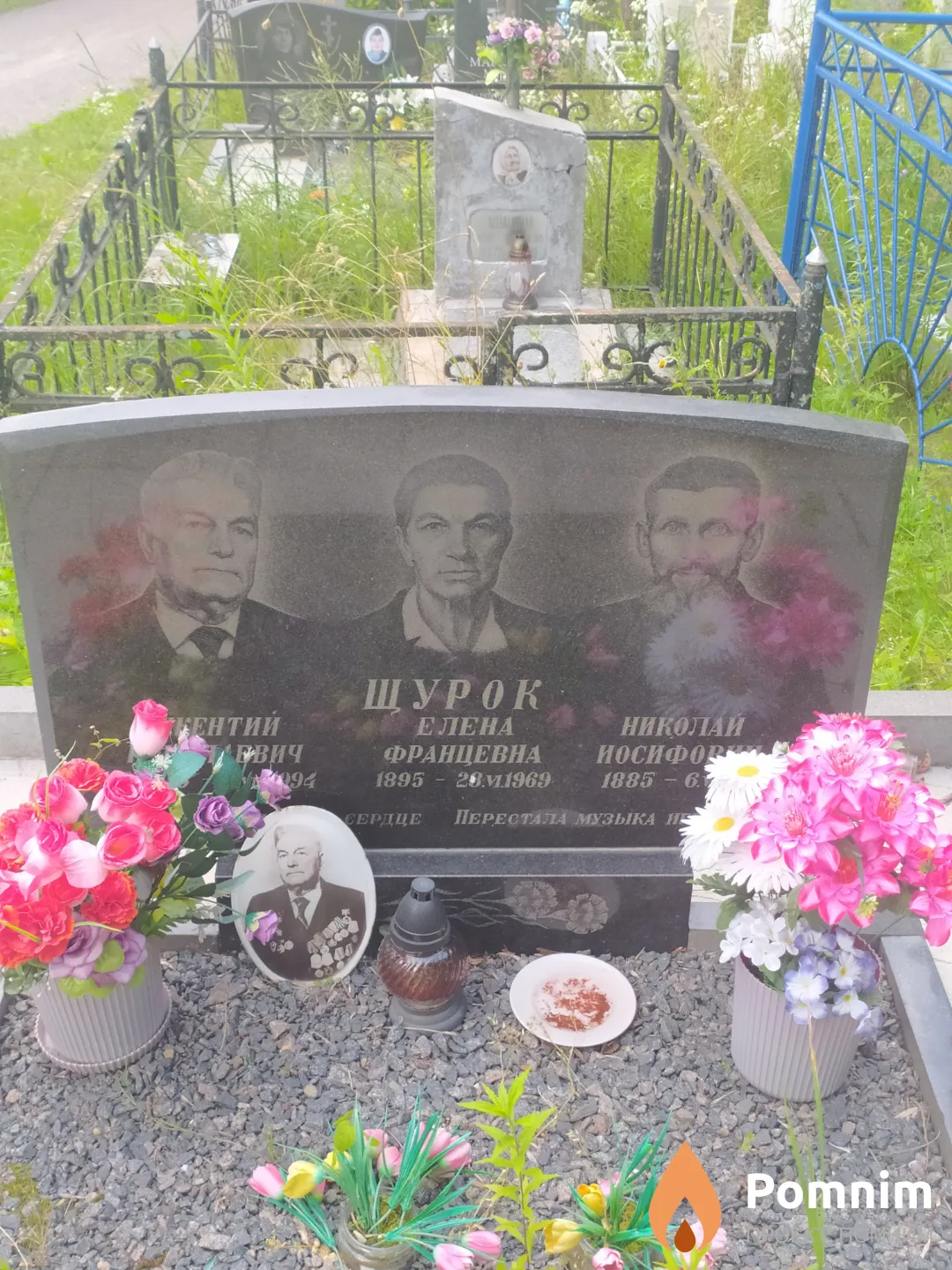 Щурок Елена Францевна