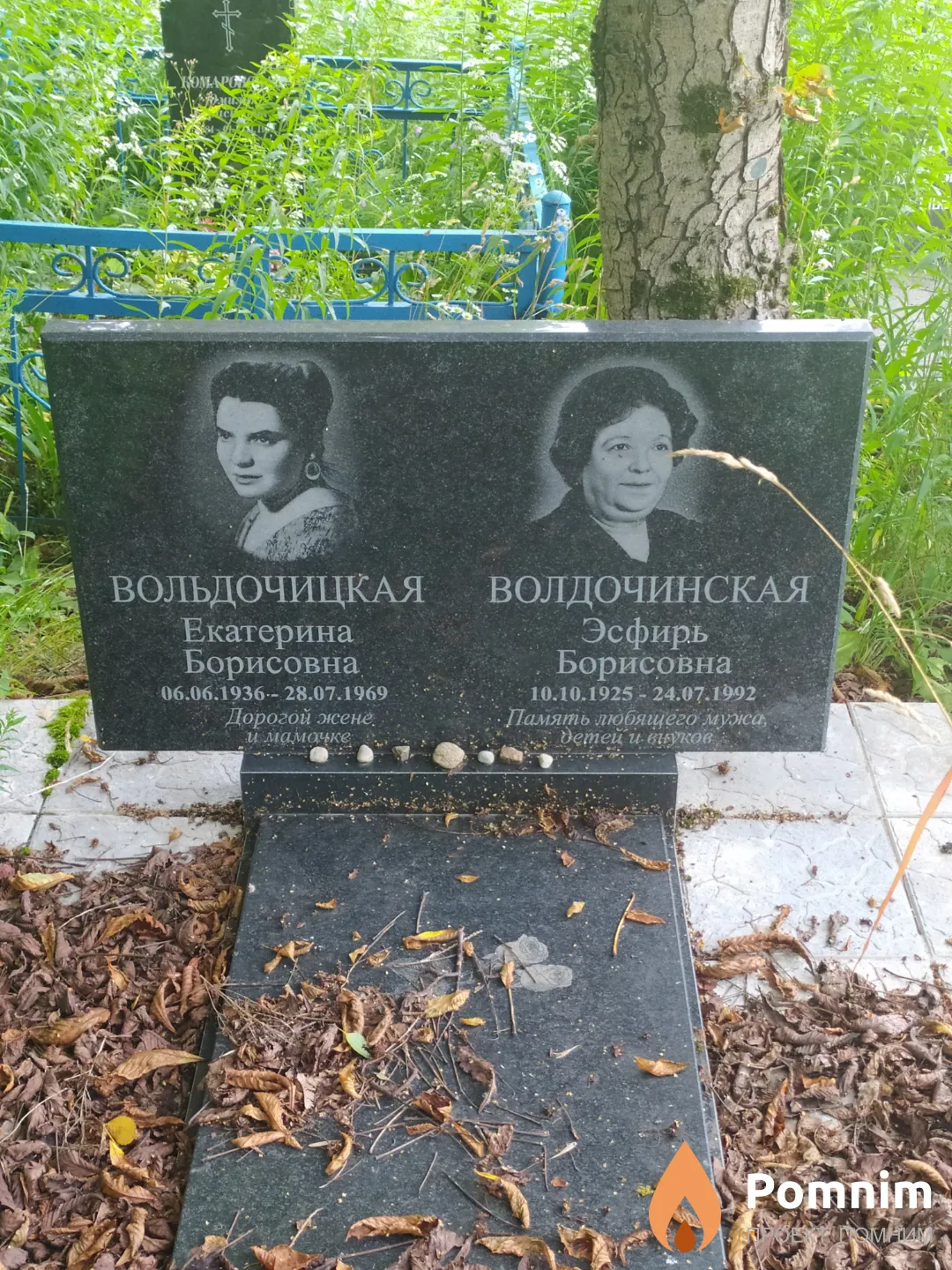 Вольдочицкая Екатерина Борисовна