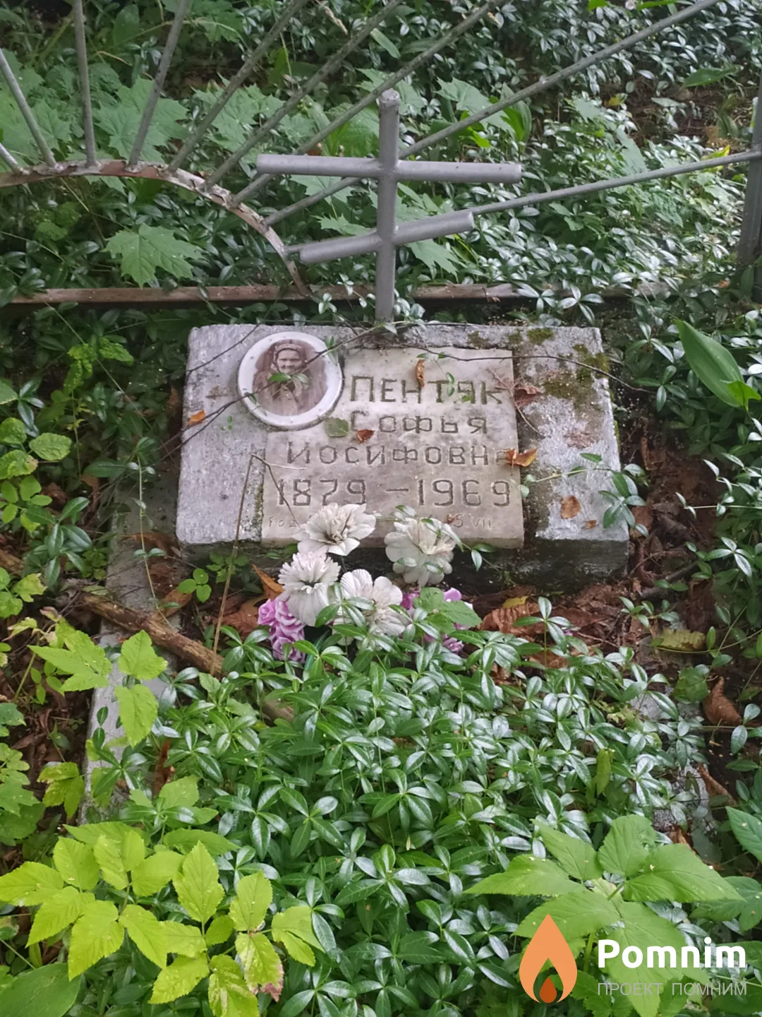 Пентяк Софья Иосифовна