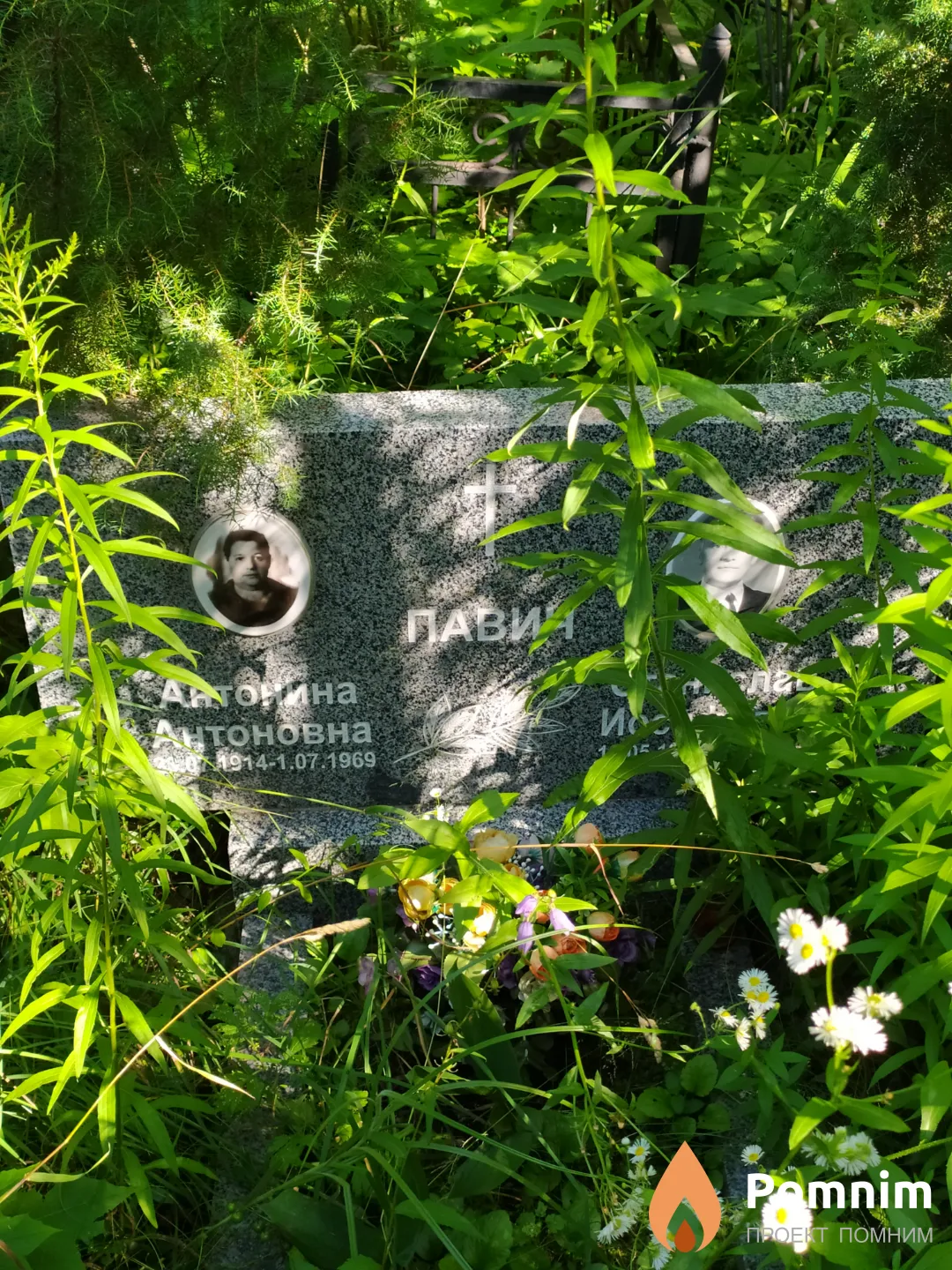 Павич Антонина Антоновна