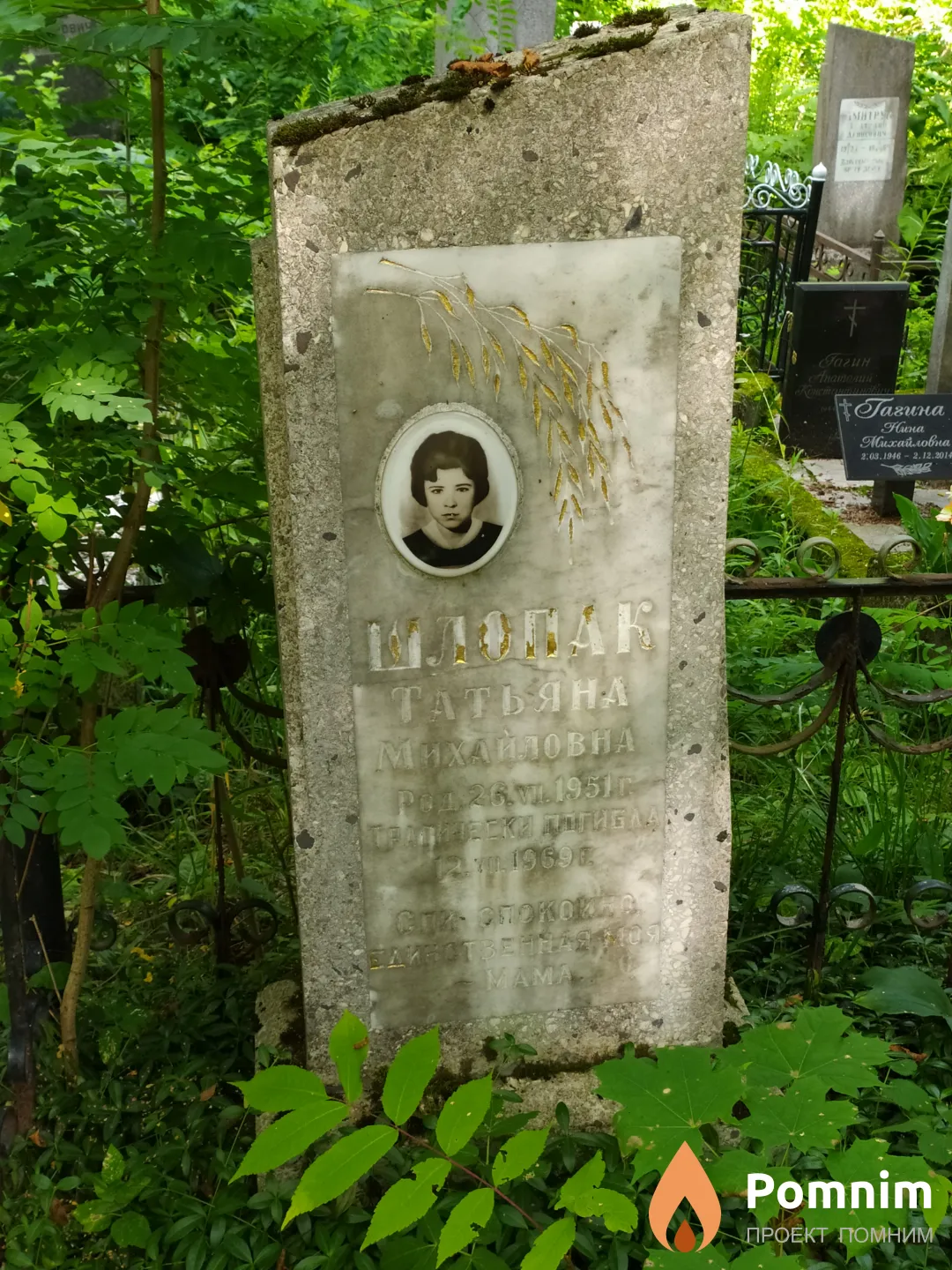 Шлопак Татьяна Михайловна